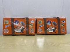 ディズニーリゾート 35周年　バケーションパッケージ　クッション　２個セット