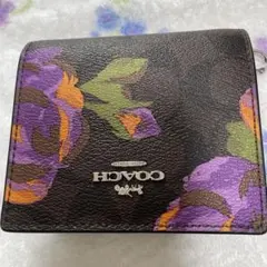 Item thumbnail for item bba3f1ff-cbe7-4cab-9c68-ab3f49f43d81