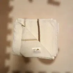 Item thumbnail for item 8a055a89-2a87-4869-9efb-fe384f1e0a46