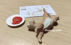未使用✨ナーゴコレクション　5　ポポロ　キジトラ　ドールの猫としても