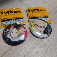 ハイキュー!! 缶バッジ 　狐爪研磨 月島蛍