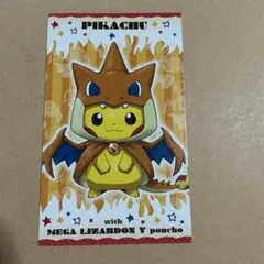 メガリザードンXのポンチョを着たピカチュウ 強カワピカチュウ メガ