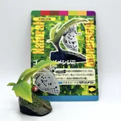 海洋堂　週刊日本の天然記念物　12種 海洋堂 週刊日本の天然記念物 12体セット - メルカリ