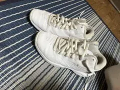 アシックス バスケットシューズ