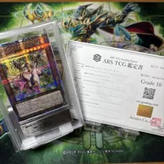遊戯王 ARS10 魔術師の弟子　ブラックマジシャンガール　25th 鑑定書付きのサムネイル