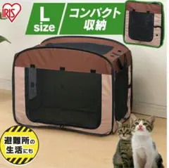 Item thumbnail for item 651e3b43-35e4-4a1c-90a4-5013cc544048