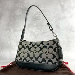 COACH X MINT + SERF】 ノリータ19シグネチャー キャンバス - メルカリ