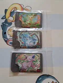 【匿名配送】ポケモン フレンダ ST/WP3種セット②