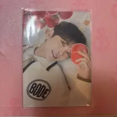 ジョシュア holiday