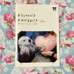 2025年最新】ラッコのパタの人気アイテム - メルカリ