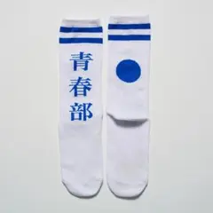 新しい学校のリーダーズ　青春部の靴下　Mのサムネイル