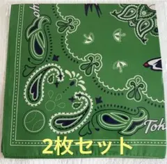 東京ヤクルトスワローズ　燕バンダナ　２枚セット