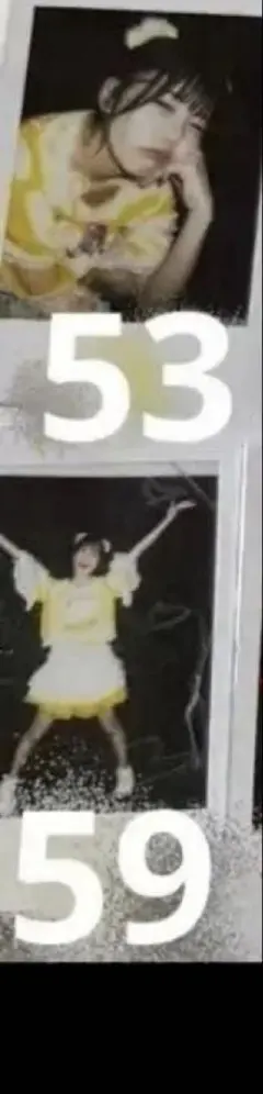 ささき様　福丸うさ