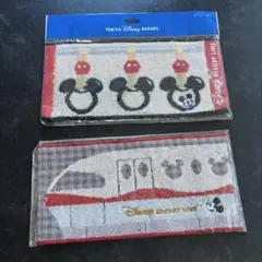 東京ディズニーリゾートライン　 ミニタオル2枚セット お土産
