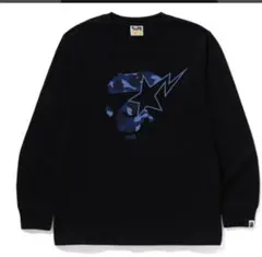 エイプ スウェット