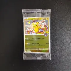 未開封 トウホクのピカチュウ ポケモンセンター スペシャルBOX
