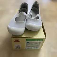 Item thumbnail for item 9c220b0d-2476-4f63-a7a0-4b5ce3203c1a