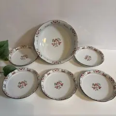 たち吉(橘吉)✴︎花容シリーズ 中鉢(盛鉢)1 取り皿(小皿)5枚