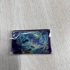 テラバゴス ポケモンフレンダ　スーパートレジャー