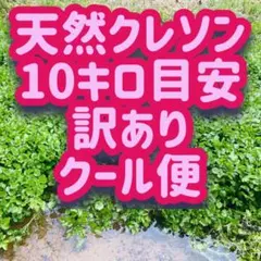 2026年最新】クレソンの人気アイテム - メルカリ