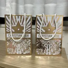 ディオール　CHRISTIAN DIOR ショップ袋 2個セット