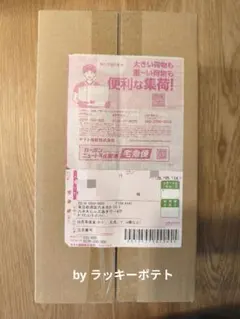 ポケモンカードゲーム スペシャルBOX　ヒロシマ
