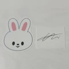 straykids SKZOO リノ リービット サイン 落下物