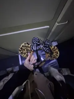 2026年最新】ディズニー カチューシャ ヒョウ柄 ピンクの人気アイテム