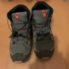 Item thumbnail for item dc6bb18f-20e4-4c56-a7f0-e64b614f38e6