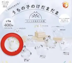 うちの子のけだまだま　柴犬　ガチャガチャ　犬　正規品　けだまだま