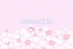 オーダー専用