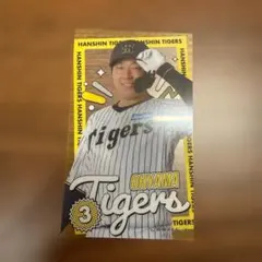 【大山悠輔選手】阪神タイガース フォトカード