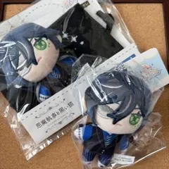 Neco Arc ぬいぐるみ ネコアルク 月姫 Fate - メルカリ