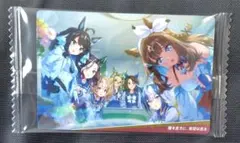 たま@プロフ必読様 リクエスト 2点 まとめ商品