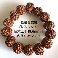 2465金剛菩提樹ブレスレット❗️木ブレスレット❗️