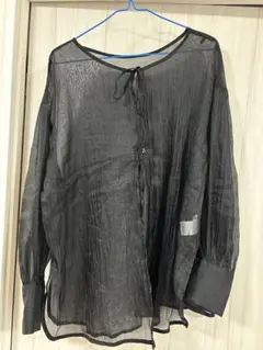 シースルーリボン付き長袖シアーシャツ