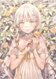 DSマイル　クリアファイル