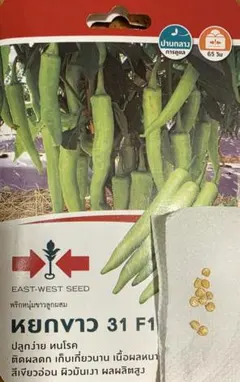 タイの唐辛子　プリック　ヌムの種　１０粒