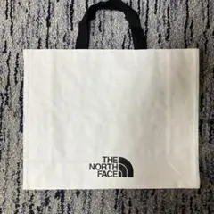 新品　ザノースフェイス　エコバッグ　Mサイズ 韓国限定
