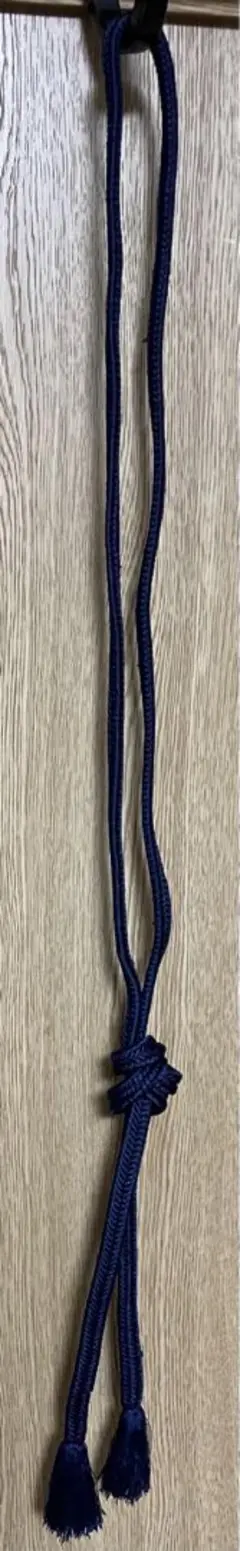 Item thumbnail for item e90ed2a9-4b49-41b5-850a-b3cbe00ab6f7