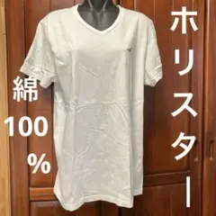 ホリスター　綿100%　快適　メンズ　Ｔシャツ　白色　さわやか　美品　ロゴマーク