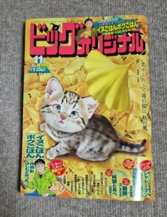 ビッグオリジナル 増刊号11月号