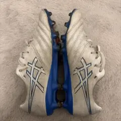 2026年最新】ds light x-fly pro 2 26.0の人気アイテム - メルカリ