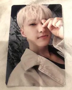 SEVENTEEN 消費期限 通常盤 ホシ トレカ