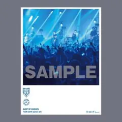BUMP OF CHICKEN　タワレコ限定特典ポスター　aurora ark