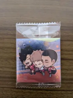 にふぉるめーしょんシール ハイキュー!! シークレット