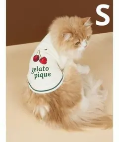 gelato pique 「CAT＆DOG」チェリー柄裏毛（S）