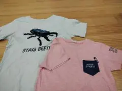 Tシャツ　2枚セット　150センチ