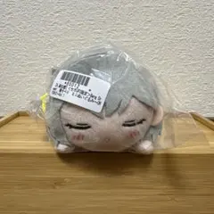 セガ限定 バンドリ 寝そべりミニぬいぐるみ　長崎そよ　20個 セガ限定 バンドリ 寝そべりミニぬいぐるみ 長崎そよ - メルカリ