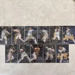 サインカード 10枚セット